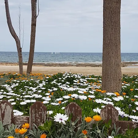 With Sea View パラリムニ