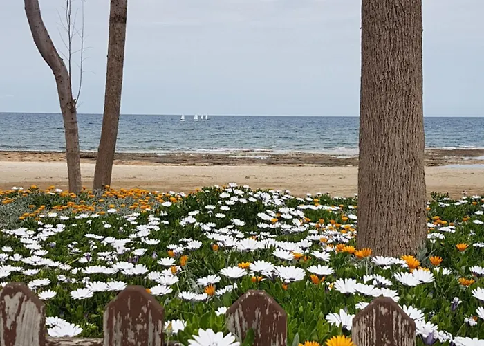 With Sea View Paralímni